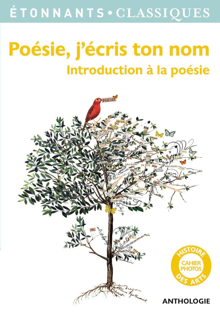 Poesie, j'ecris ton nom: Introduction a la poesie Classics