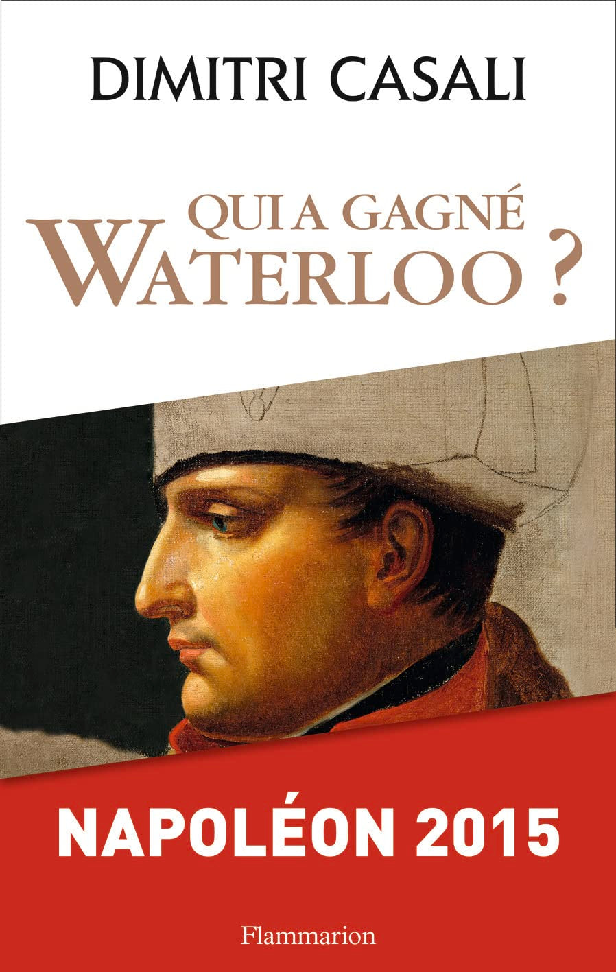 Qui a gagné Waterloo ?: Napoléon 2015 Essays & Short Stories