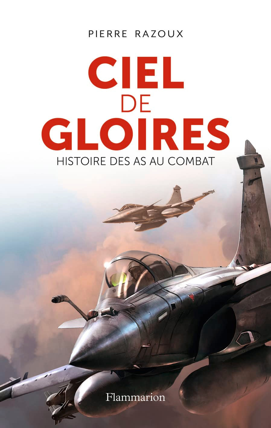 Ciel de gloires: Histoire des as au combat Politics & History