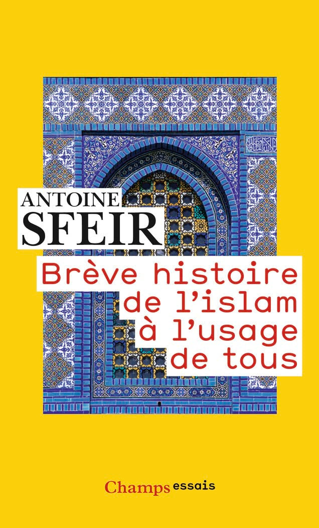 Brève histoire de l'Islam à l'usage de tous Books