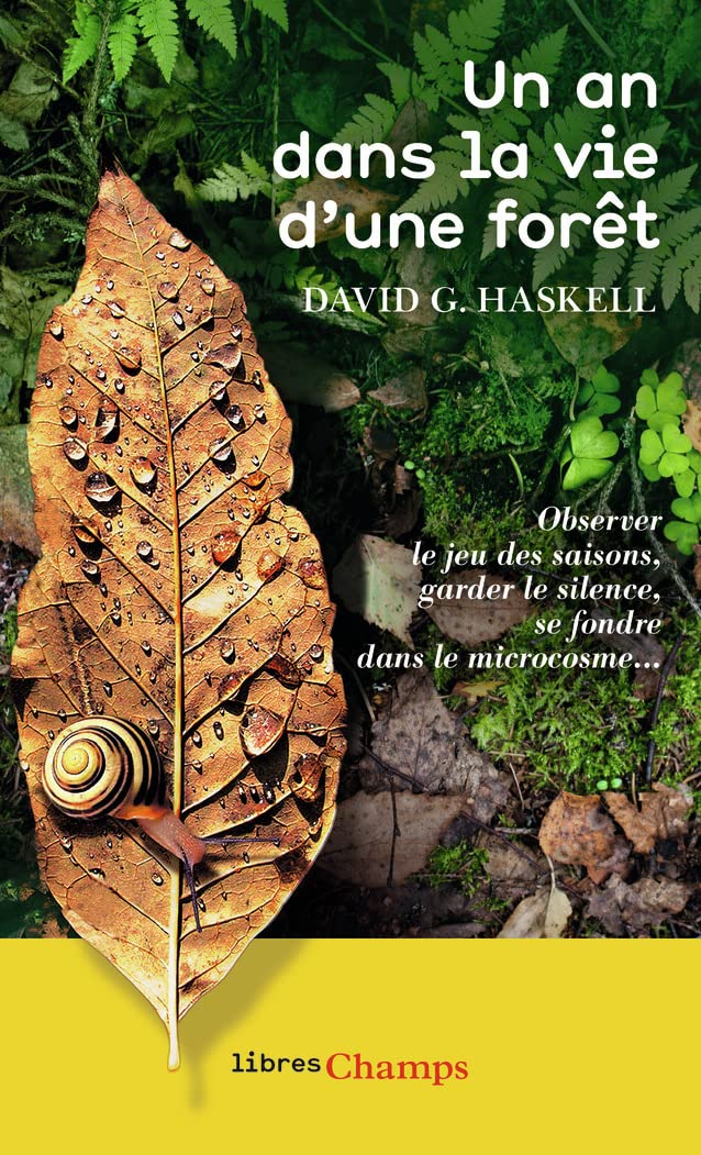 Product Image: Un an dans la vie d'une forêt