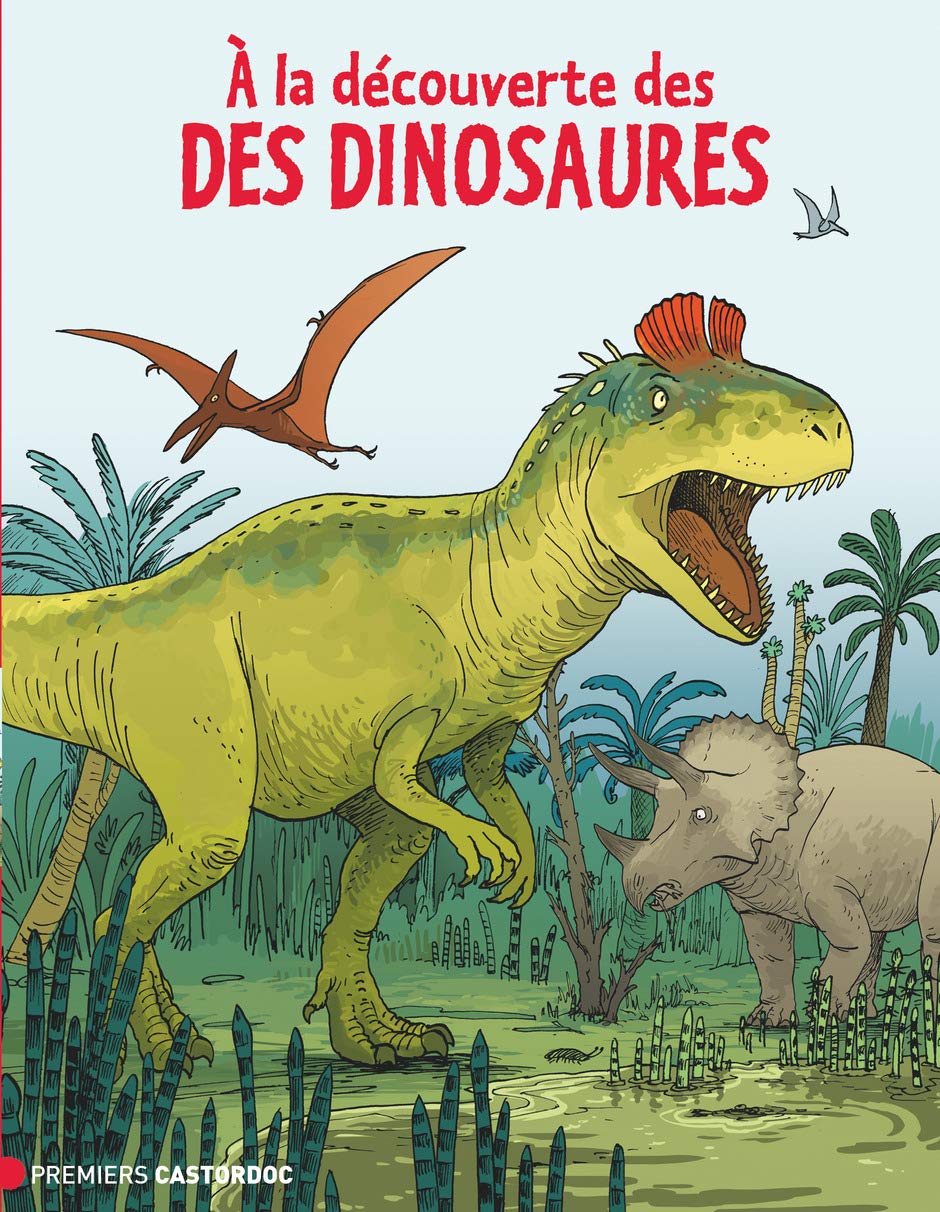 À la découverte des dinosaures Children's books