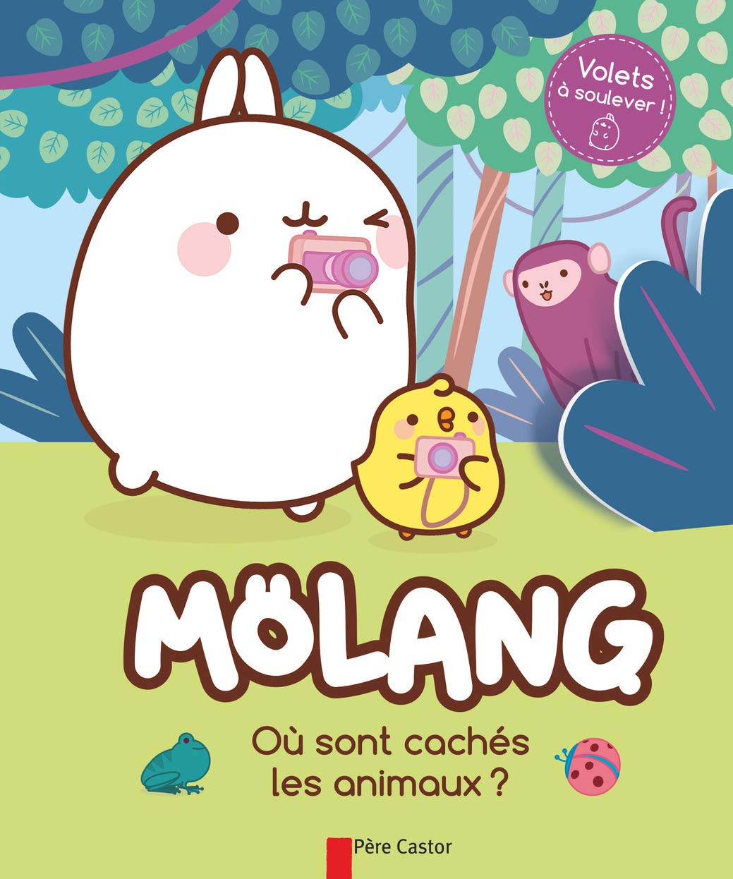 Où sont cachés les animaux?: AVEC DES VOLETS À SOULEVER Children's books