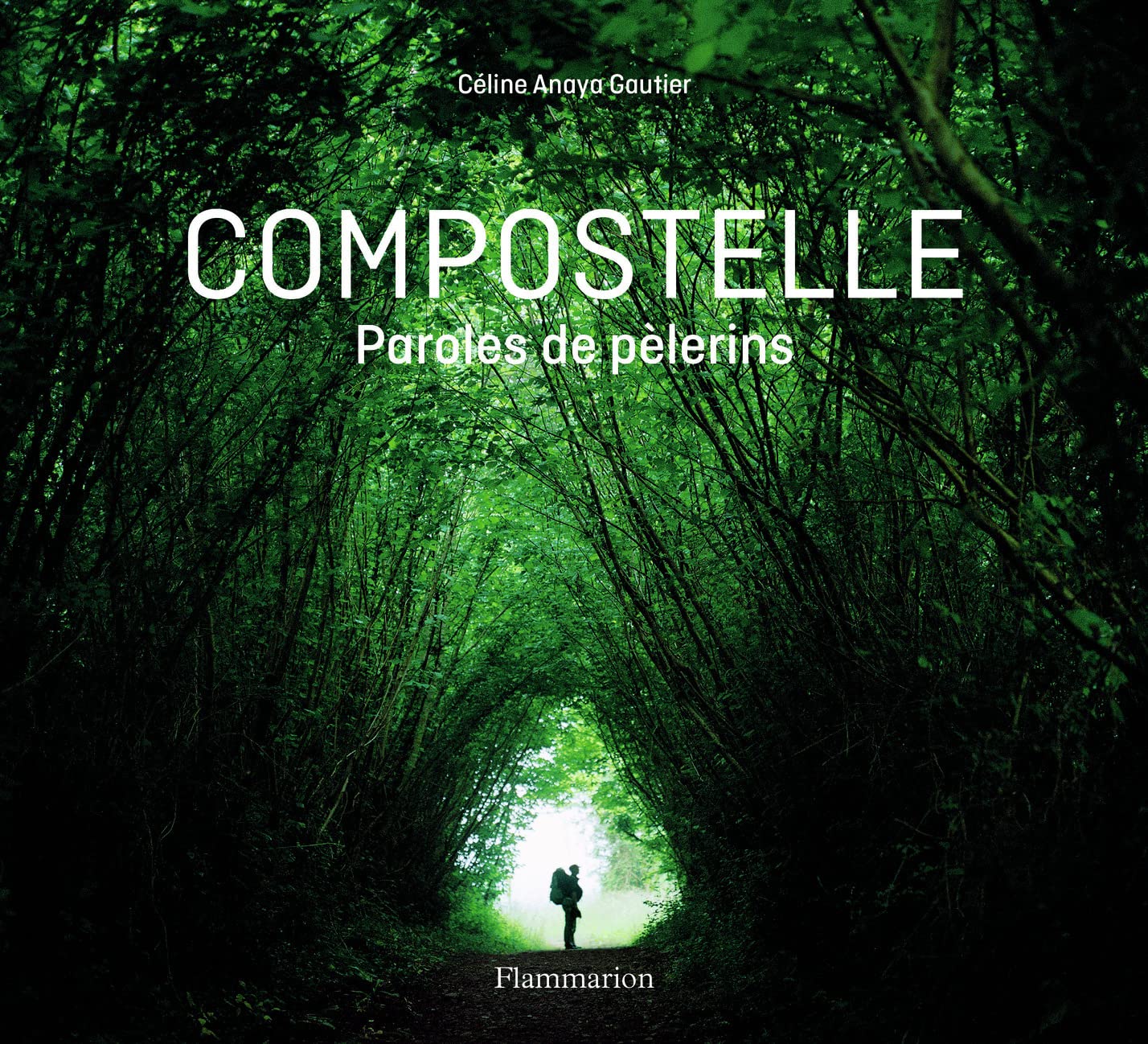 Compostelle: Paroles de pèlerins book