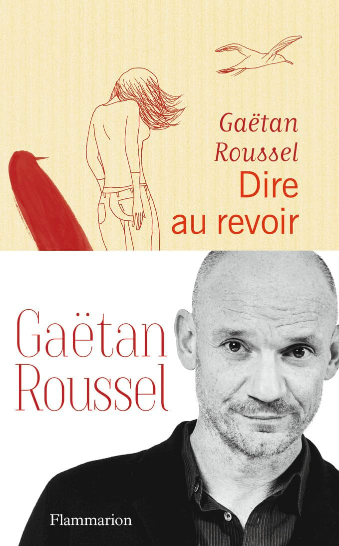 Dire au revoir: Nouvelles Contemporary literature
