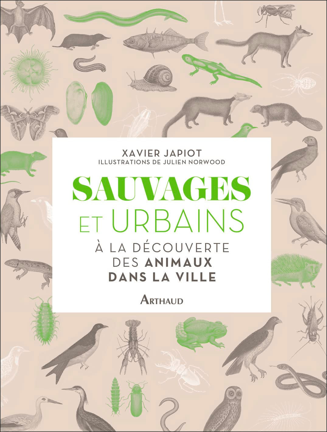 Sauvages et urbains: À la découverte des animaux dans la ville Film, Art & Culture