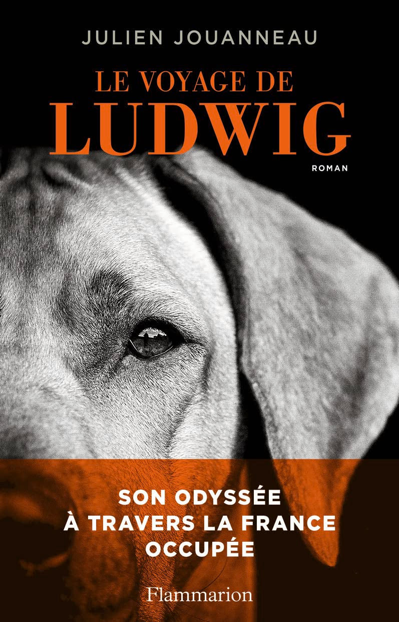 Le Voyage de Ludwig book