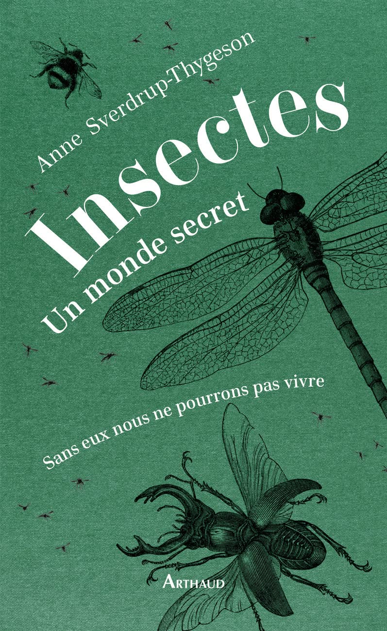 Insectes : un monde secret: Sans eux nous ne pourrions pas vivre Essays & Short Stories