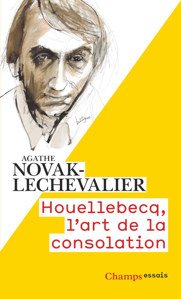 HOUELLEBECQ, L'ART DE LA CONSOLATION book