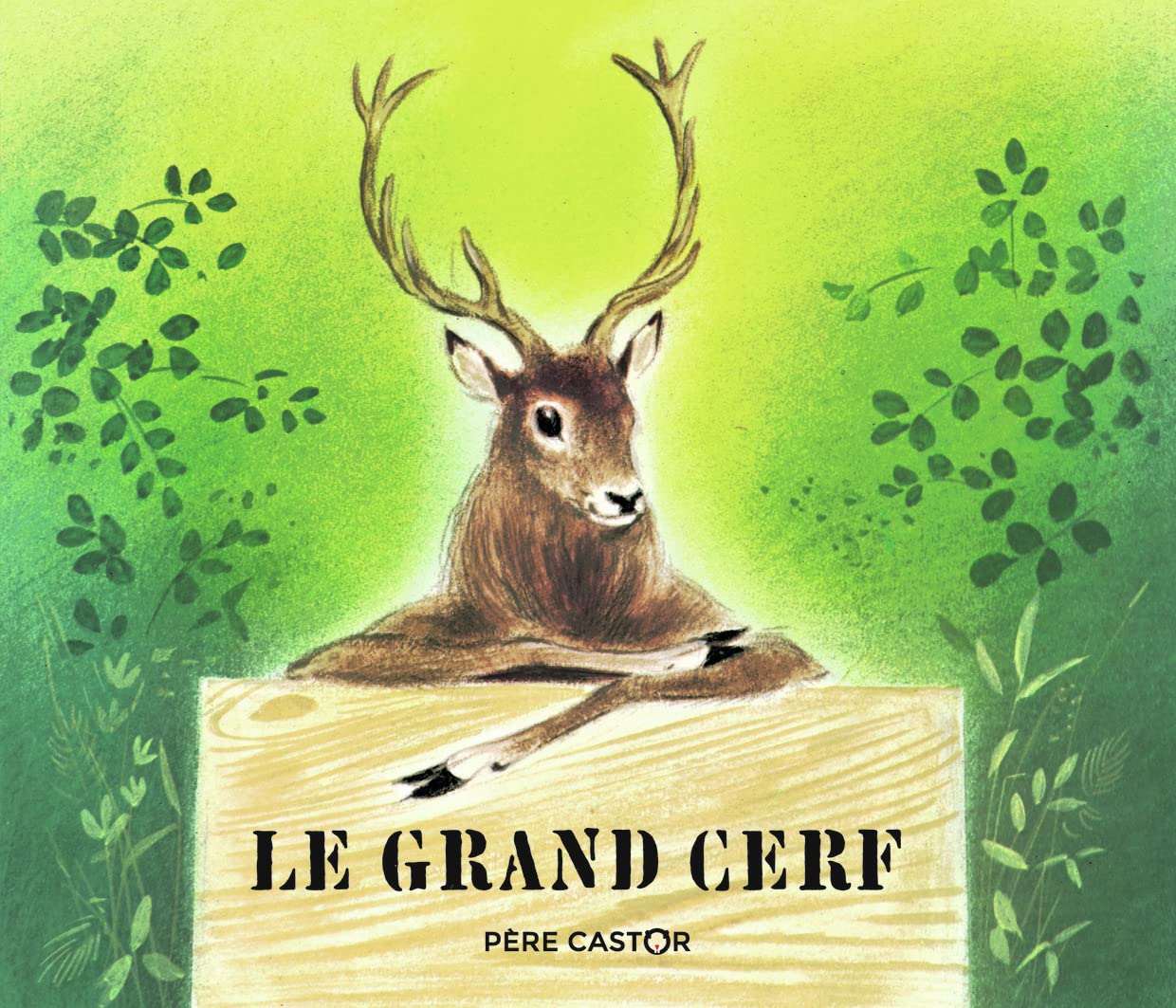 Le Grand Cerf et le lapin des champs Children's books