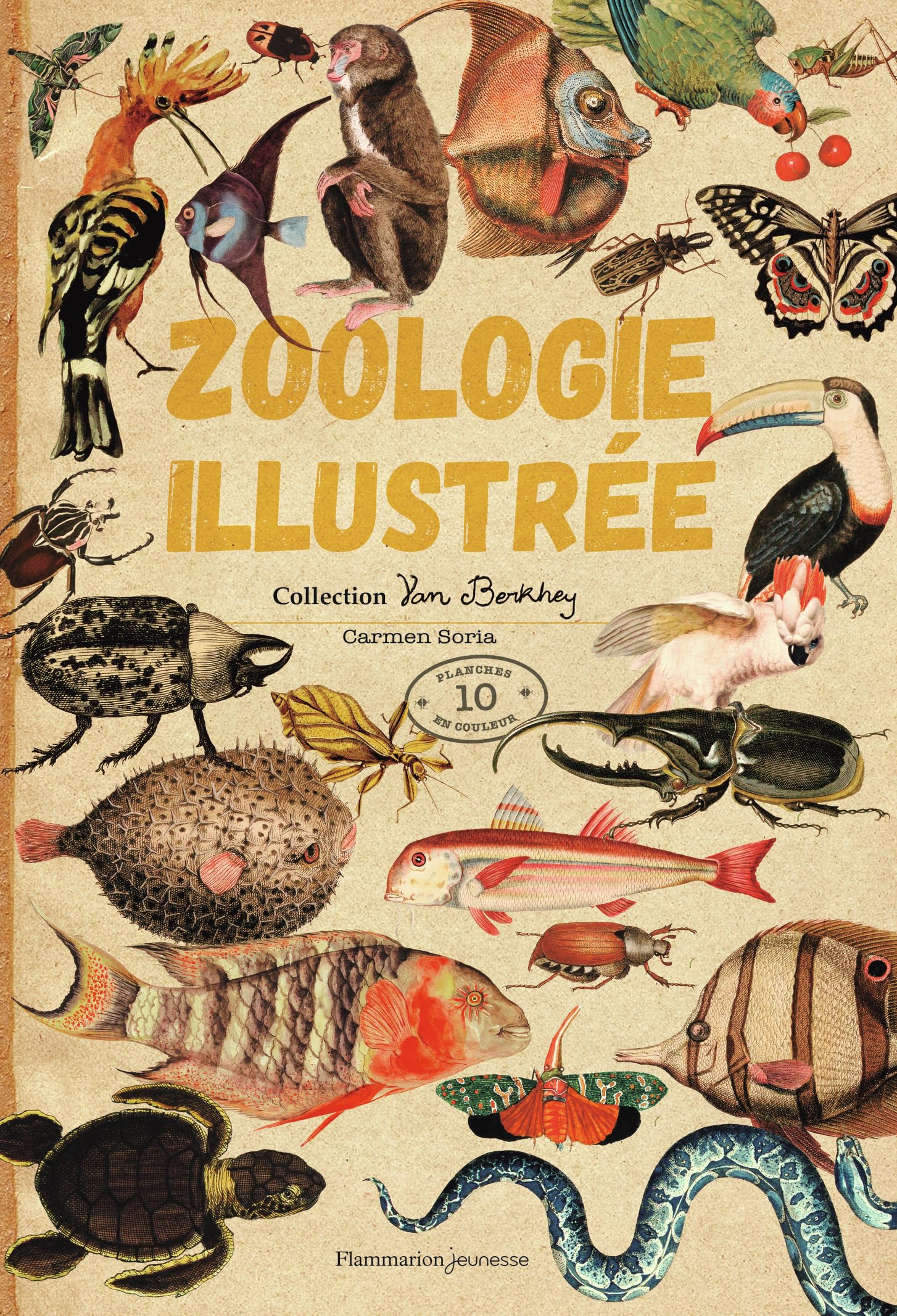 Zoologie illustrée: Collection van Berkhey book