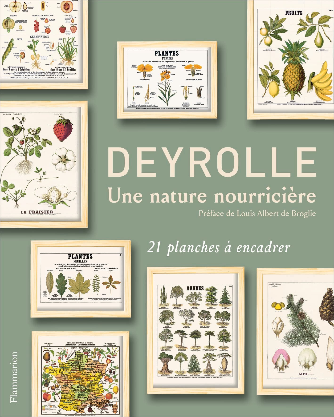Deyrolle: Une nature nourricière book