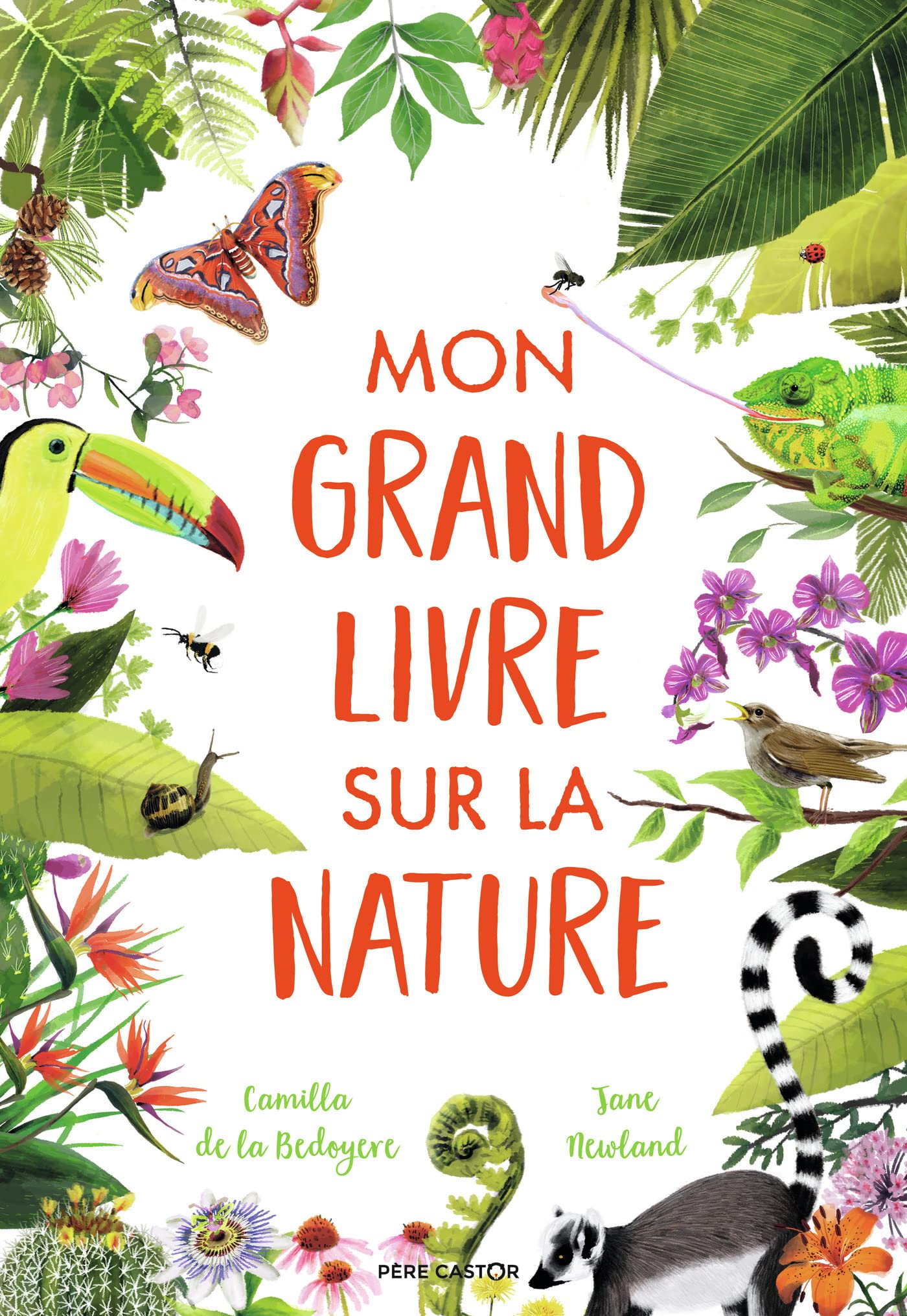 Mon grand livre sur la nature Children's books