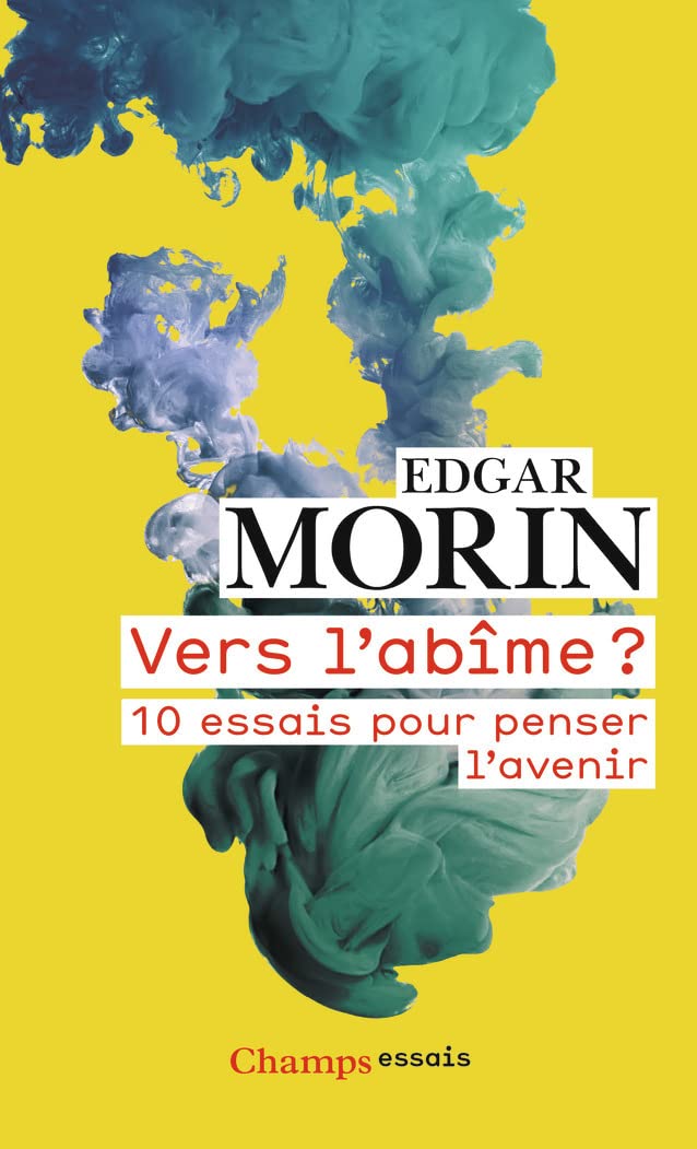 Vers l'abîme ?: 10 essais pour penser l'avenir Books