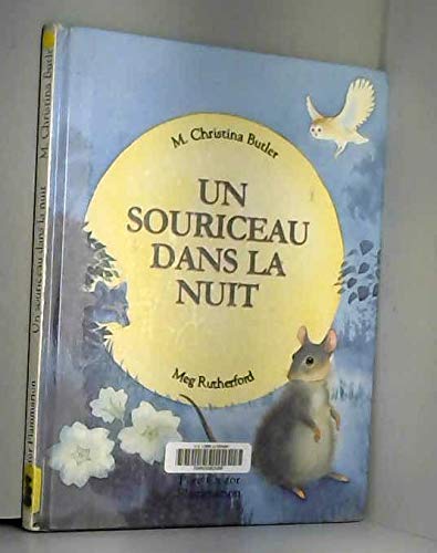 Souriceau dans la nuit (Un) book