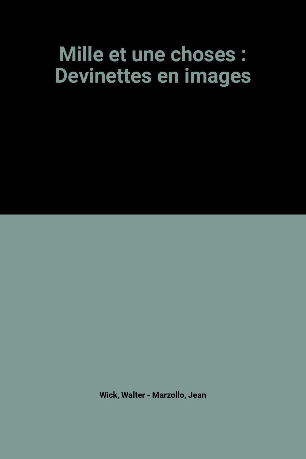 Mille et une choses: DEVINETTES EN IMAGES book