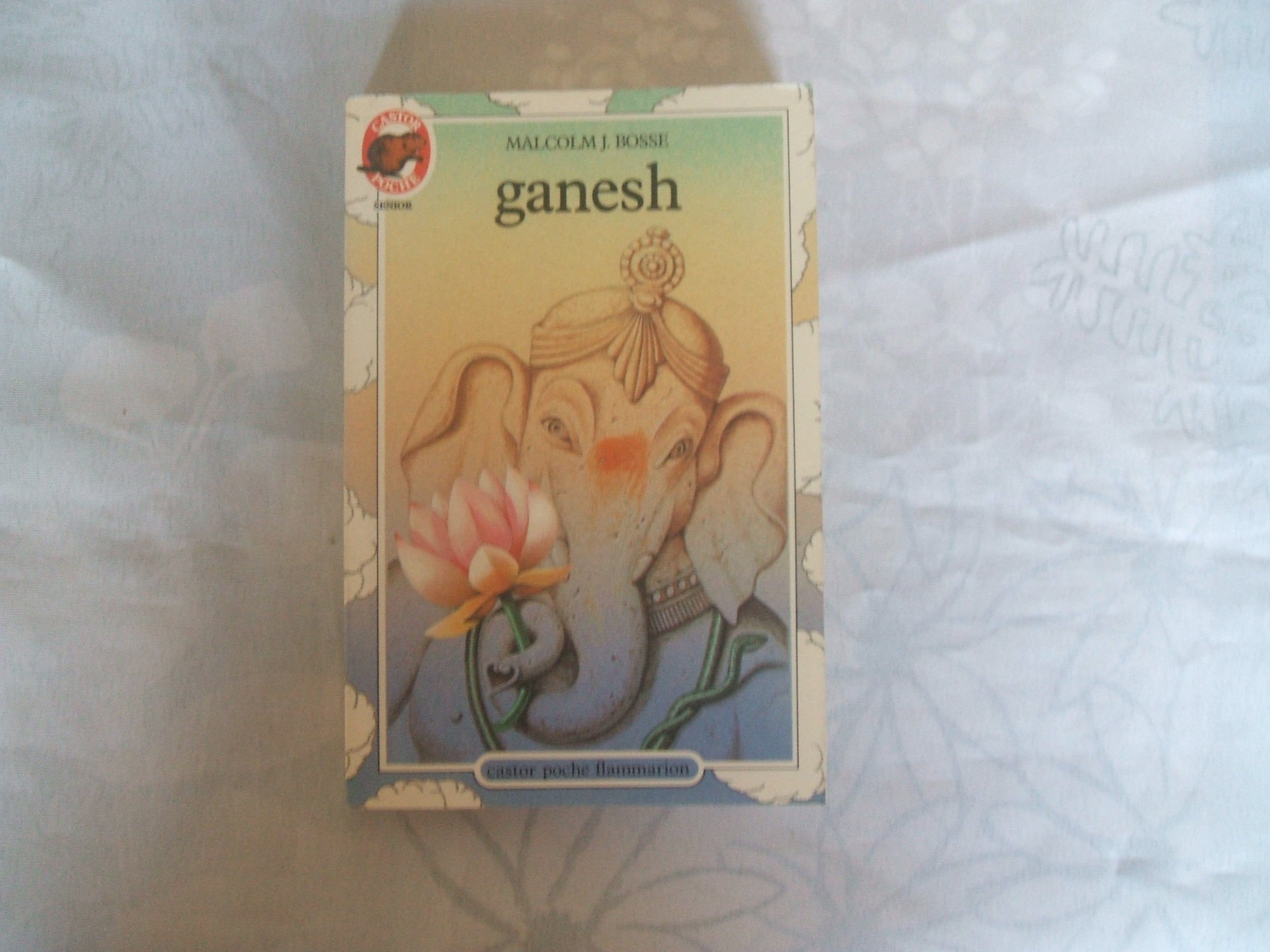 Ganesh: - VIVRE AUJOURD'HUI, SENIOR DES 11/12 ANS Novels & Short Stories