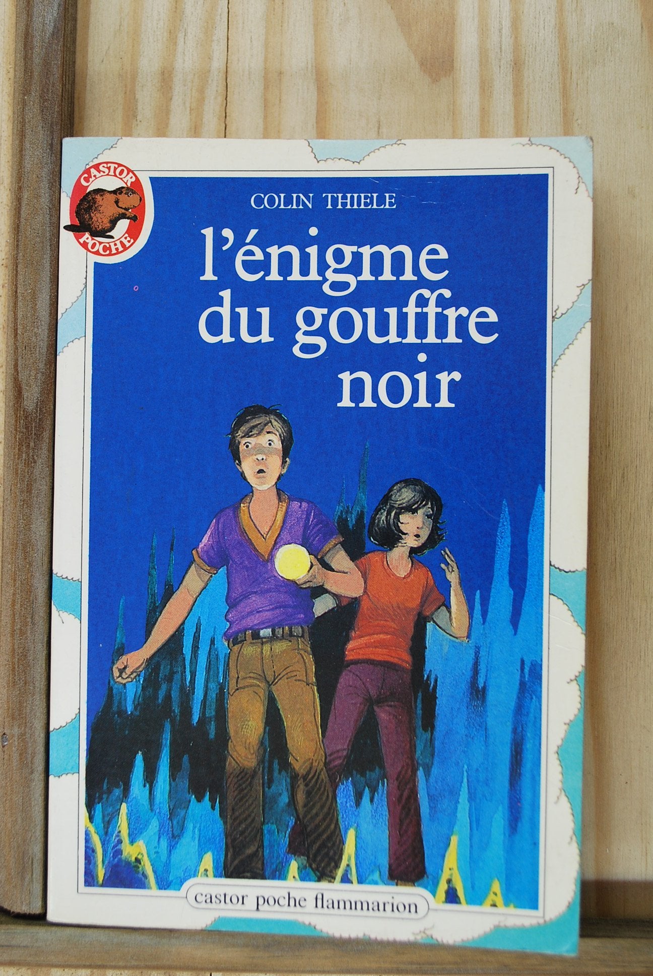 L'enigme du gouffre noir: - MYSTERE/POLICIER, JUNIOR DES 10/11 ANS Novels & Short Stories