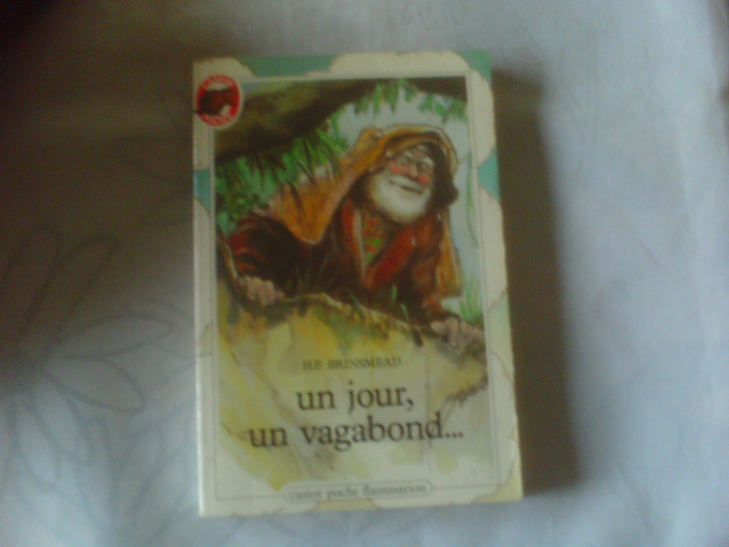 Un Jour, un vagabond... book