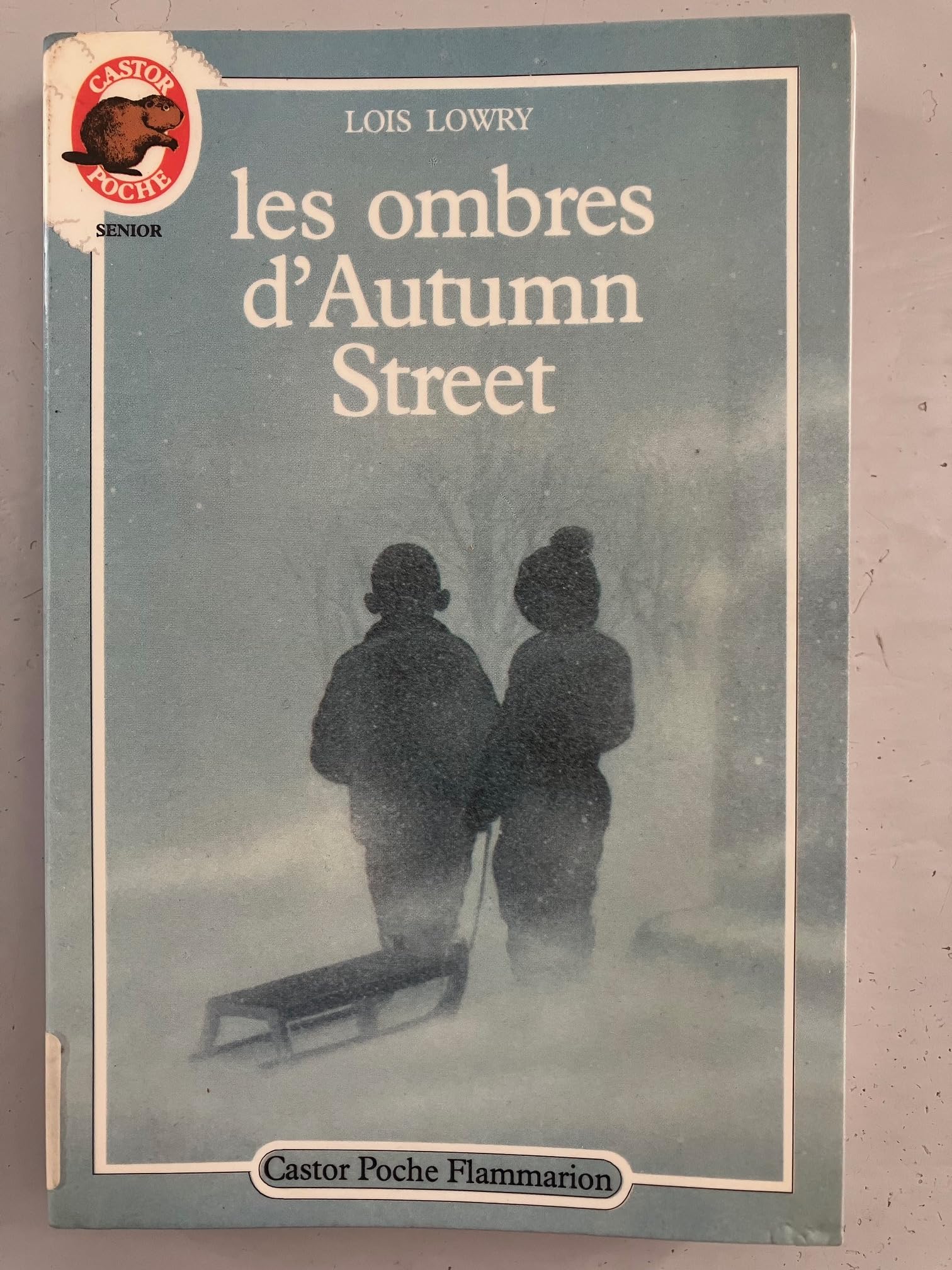 Les Ombres d'Autumn street book