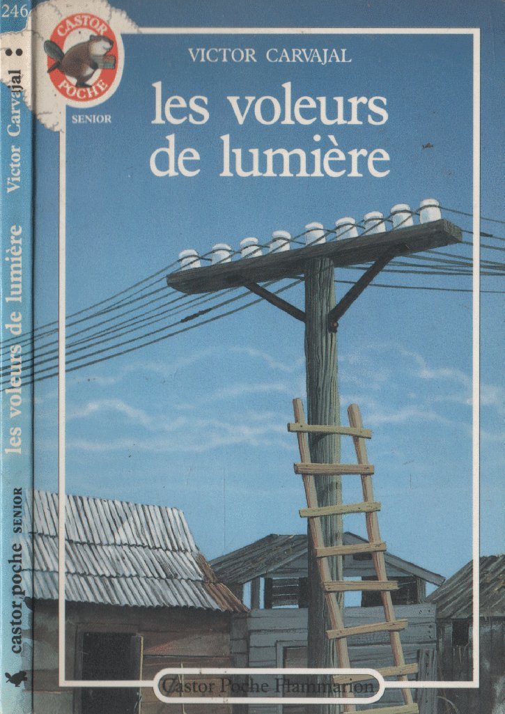 Les voleurs de lumières book