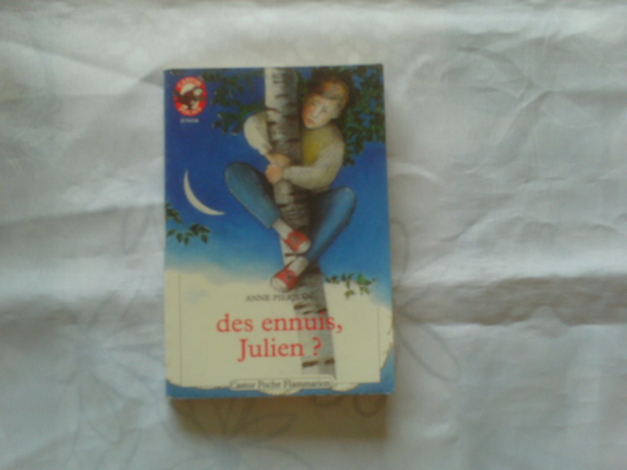 Des Ennuis, Julien ? book
