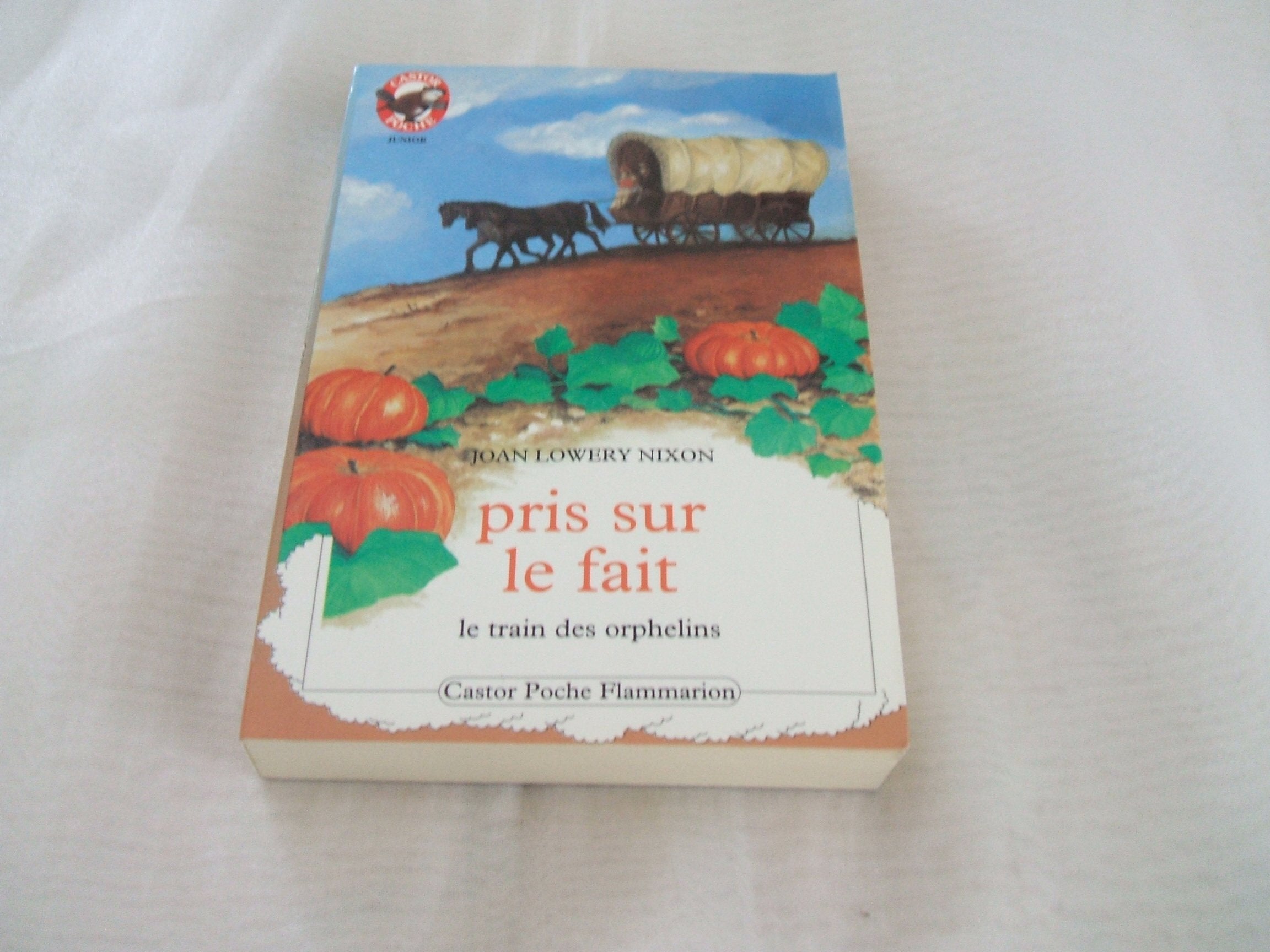 Pris sur le fait ! - le train des orphelins: - AVENTURE, DES 9/10 ANS book