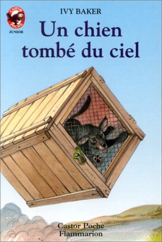 Product Image: Un Chien tombé du ciel
