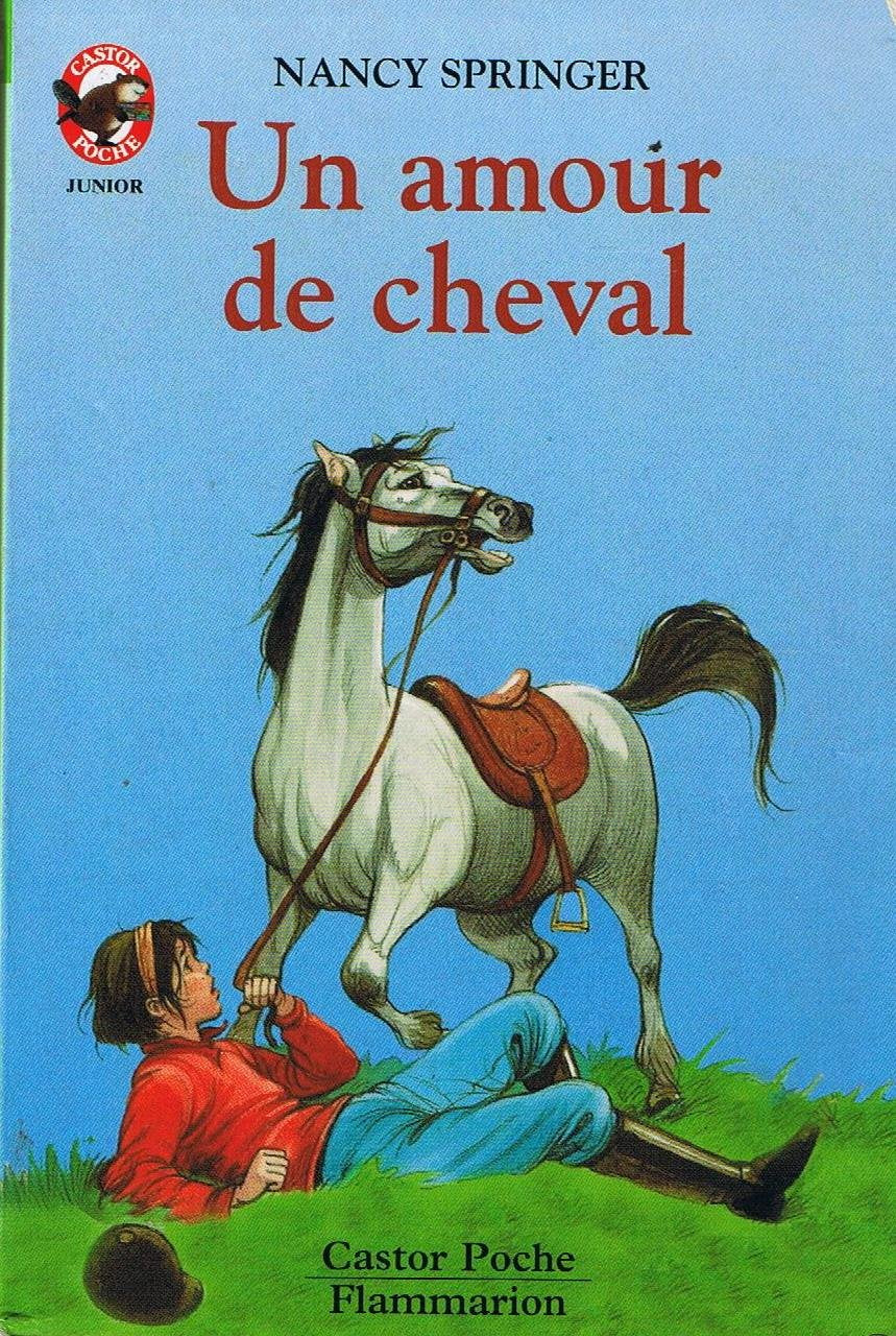 Amour de cheval (Un): - HISTOIRE D'ANIMAUX, JUNIOR DES 9/10 ANS book