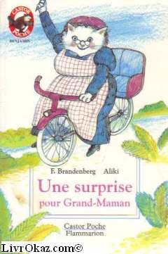 Surprise pour grand-maman *** (Une) book