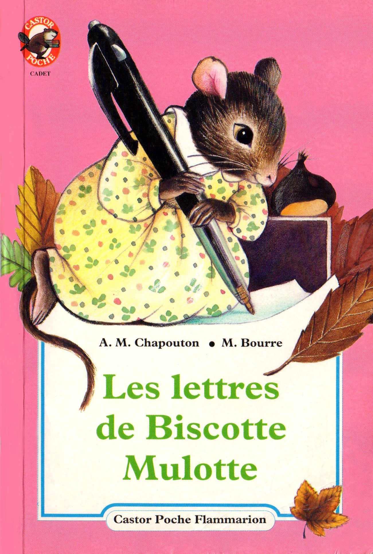 Les lettres de Biscotte Mulotte book