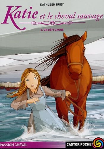 Katie et le cheval sauvage t3 un defi gagne book