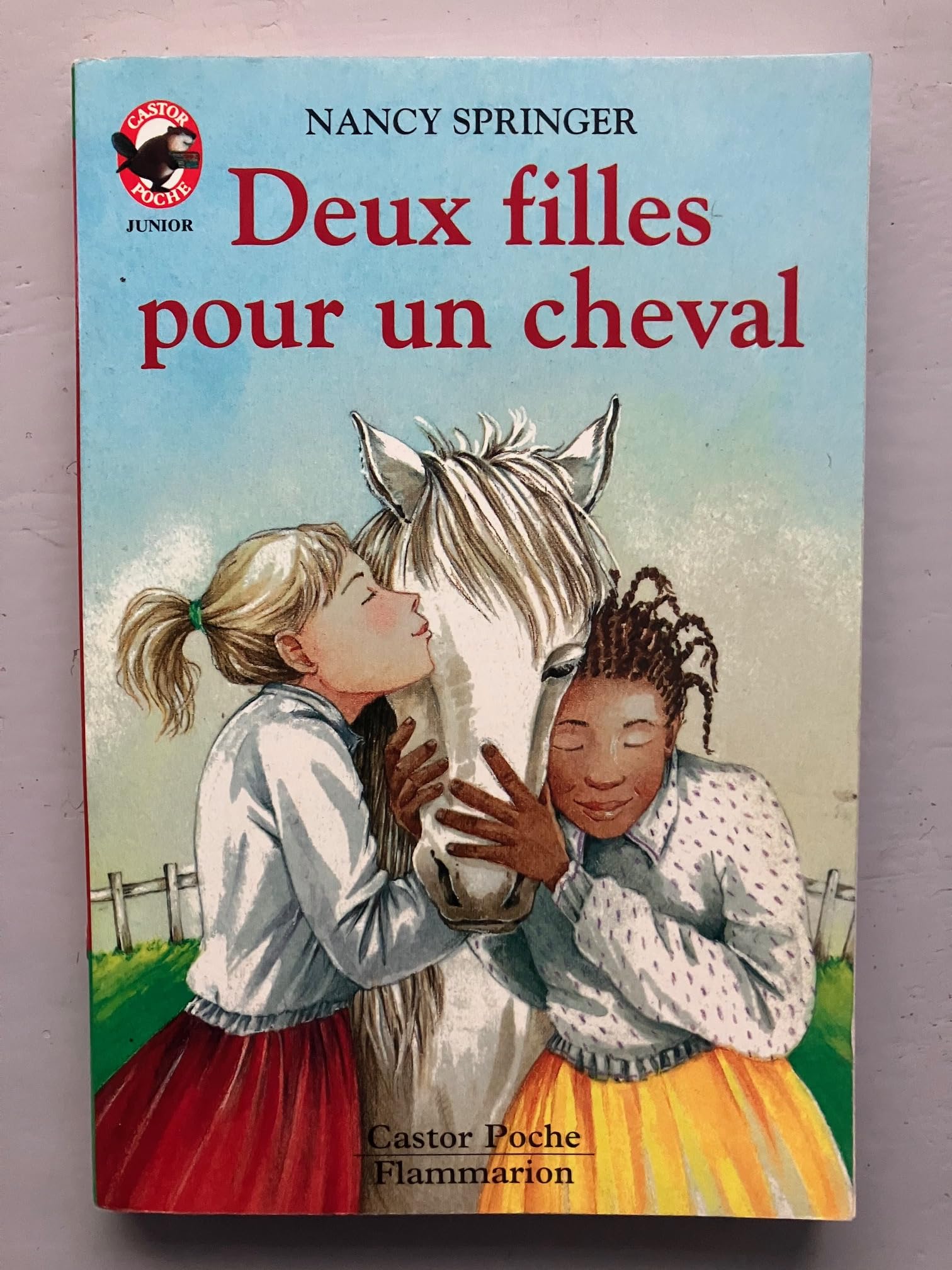 Deux filles pour un cheval: - HISTOIRE D'ANIMAUX, DES 9/10 ANS Novels & Short Stories