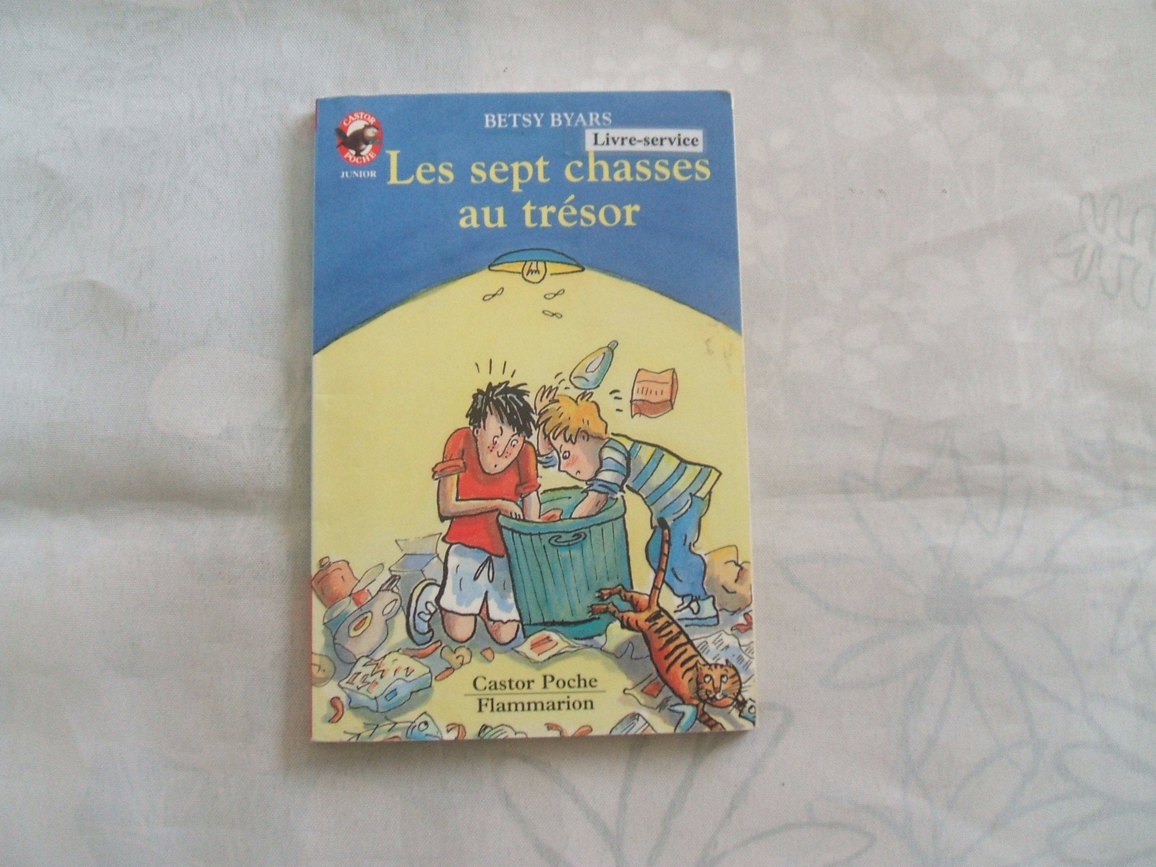 Sept chasses au tresor (Les): - AVENTURE, DES 7/8 ANS book