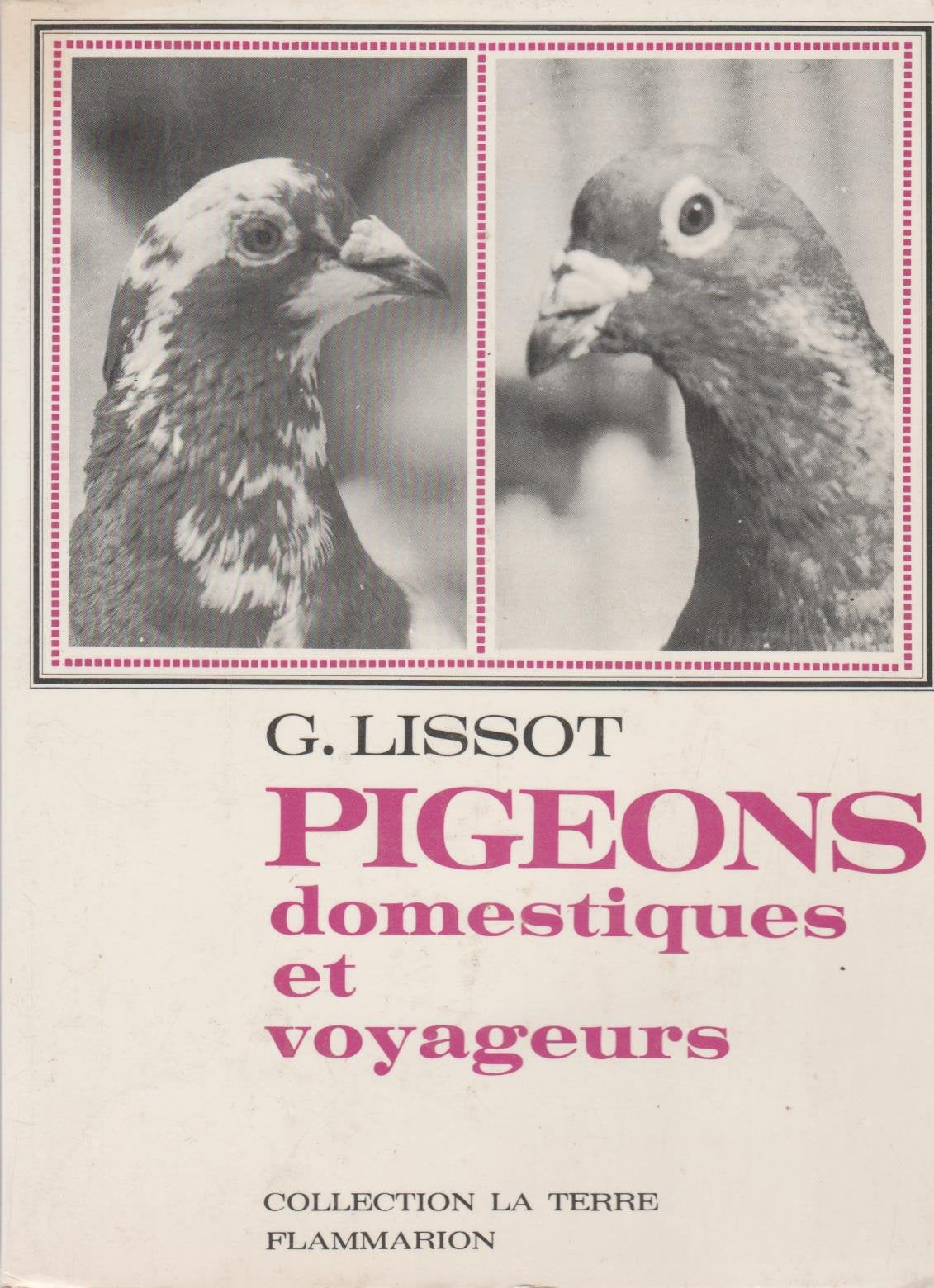 Pigeons domestiques et voyageurs 32 figures en noir Film, Art & Culture