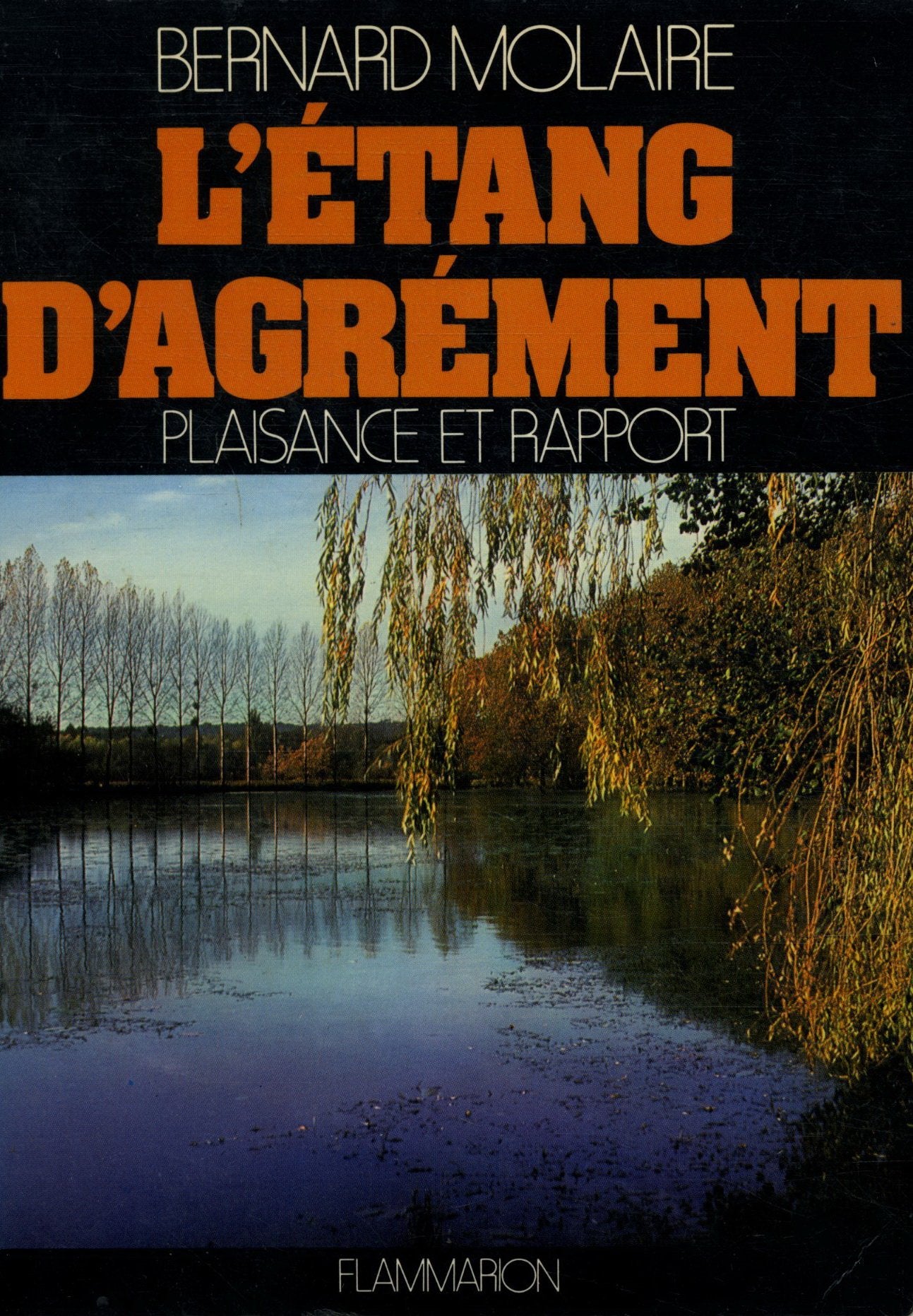 L'Etang d'agrément : plaisance et rapport Film, Art & Culture