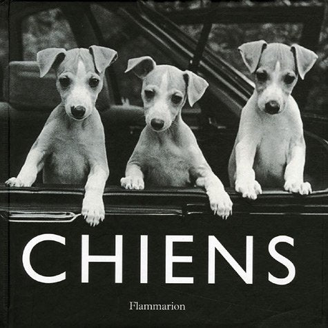 Product Image: Chiens