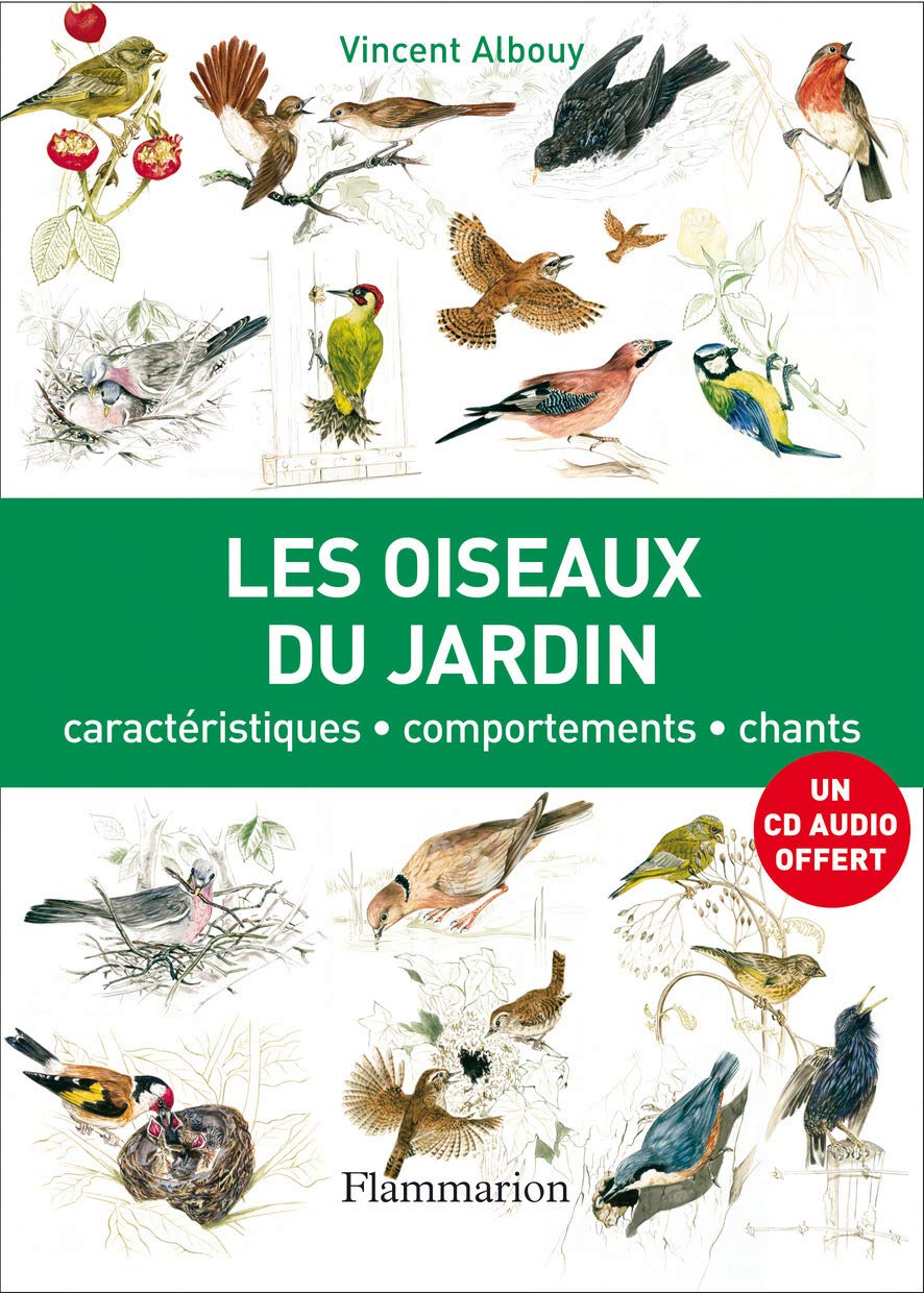Les Oiseaux du jardin: caractéristiques, comportement, chants Film, Art & Culture