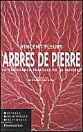 Arbres de pierre: La croissance fractale de la matière Business & Technology