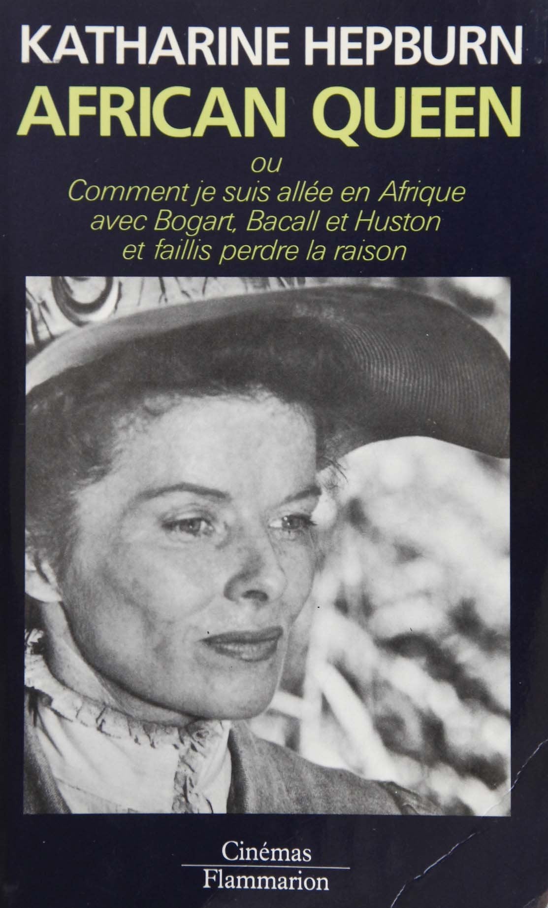 African queen ou comment je suis allee en afrique book