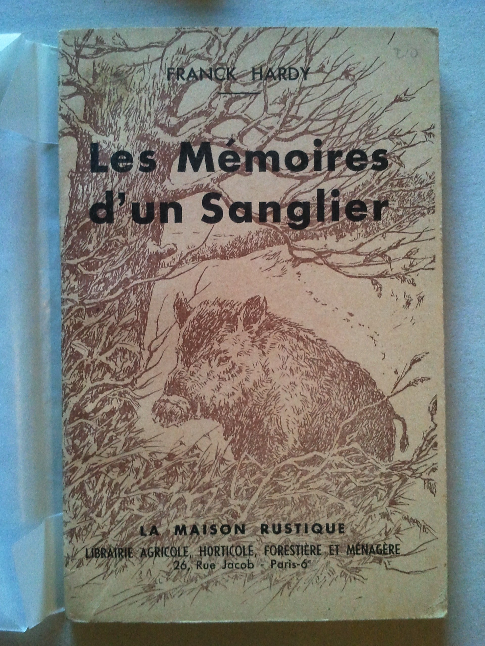 LES MEMOIRES D'UN SANGLIER Film, Art & Culture