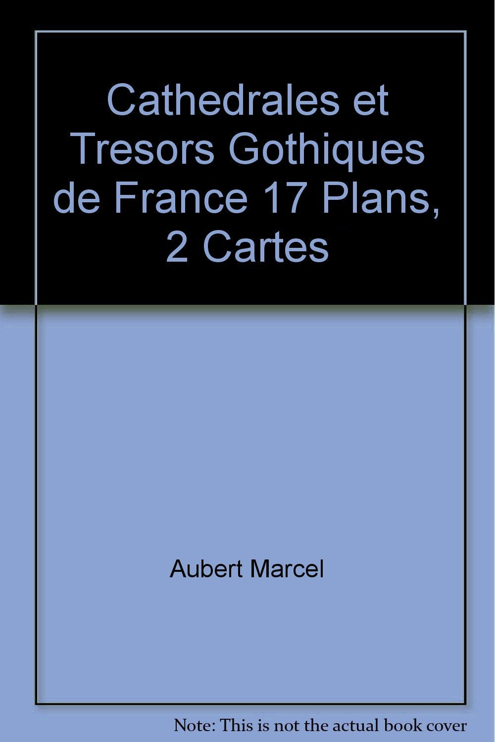 CATHEDRALES ET TRESORS GOTHIQUES DE FRANCE 17 PLANS, 2 CARTES Leisure, Home & Garden