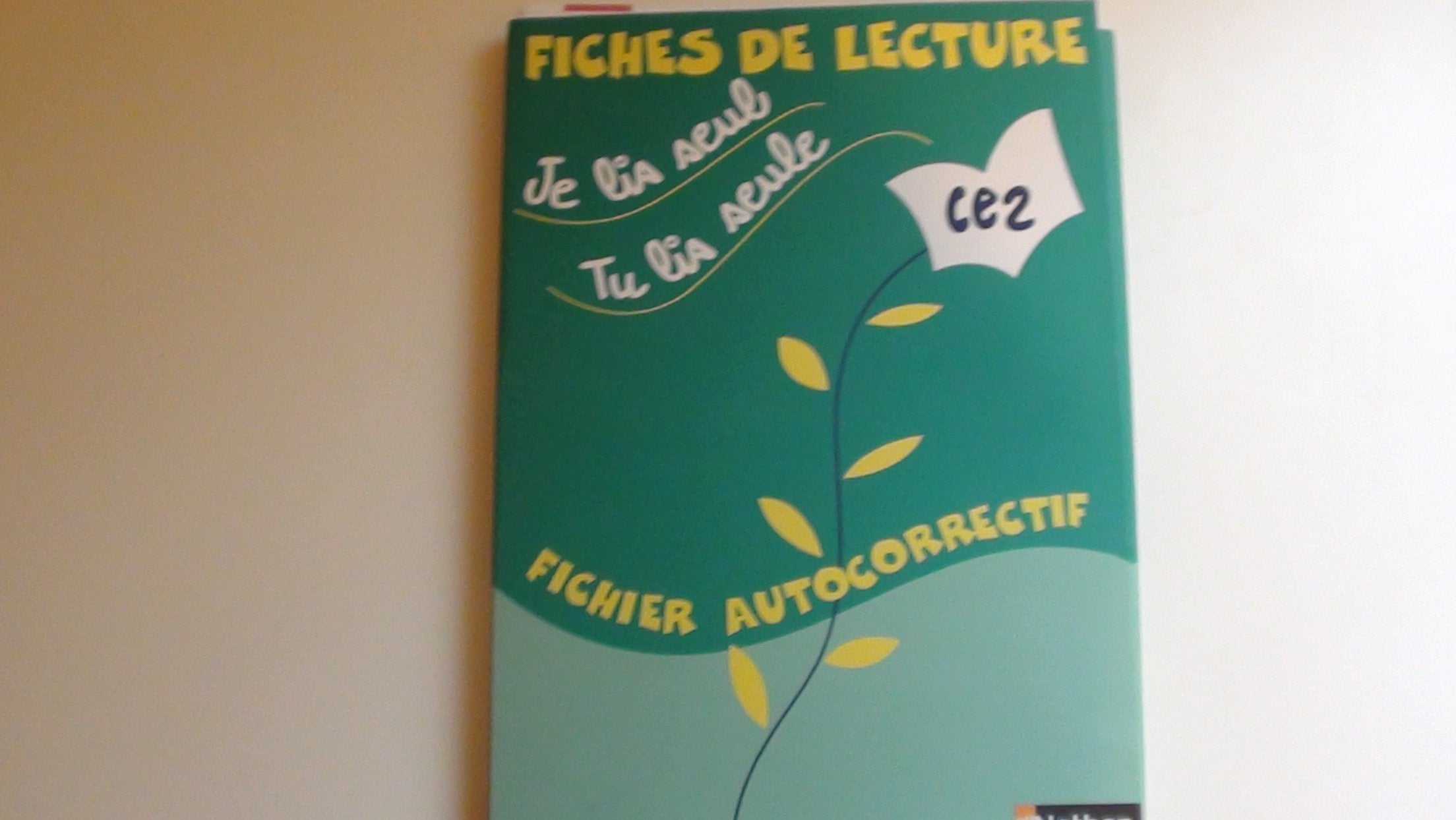 Je lis seul, tu lis seule...: Fiches de lecture CE2 Books