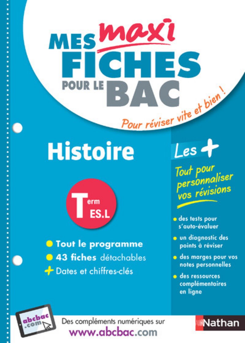 Mes Maxi fiches Histoire Terminale ES-L (8) book