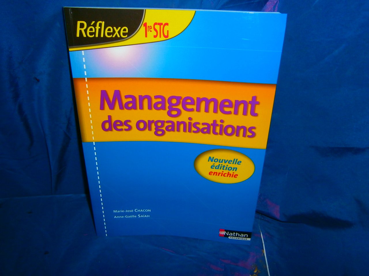 Management des organisations 1e STG book