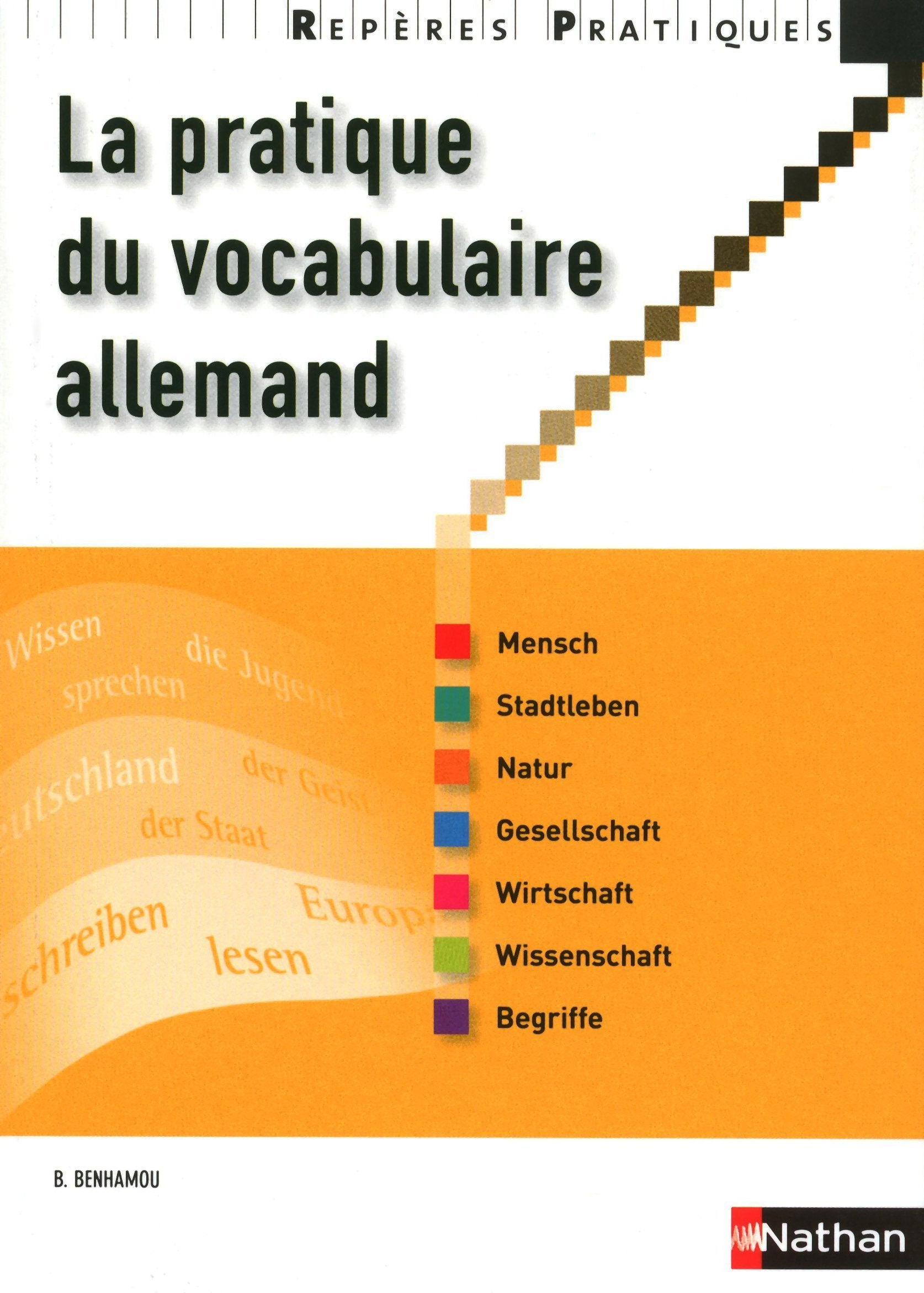 LA PRATIQUE DU VOCABULAIRE ALLEMAND 2009 - REPERES PRATIQUES Foreign Languages ​​& Dictionaries