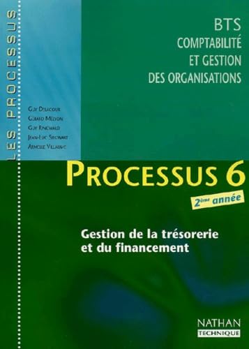 Processus 6 Bts Cgo 2eme Annee. Gestion De La Tresorerie Et Du Financement book