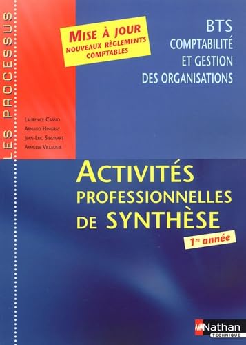 Activités professionnelles de synthèse BTS CGO 1e Année: Mise à jour des nouveaux règlements comptables book