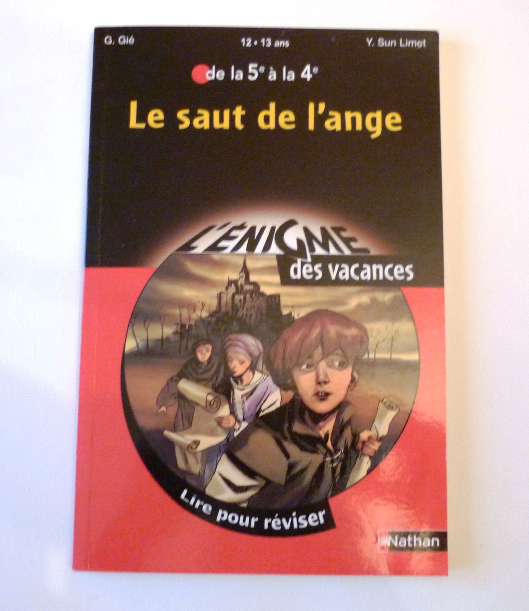Le saut de l'ange: Lire pour réviser de la 5e à la 4e Books