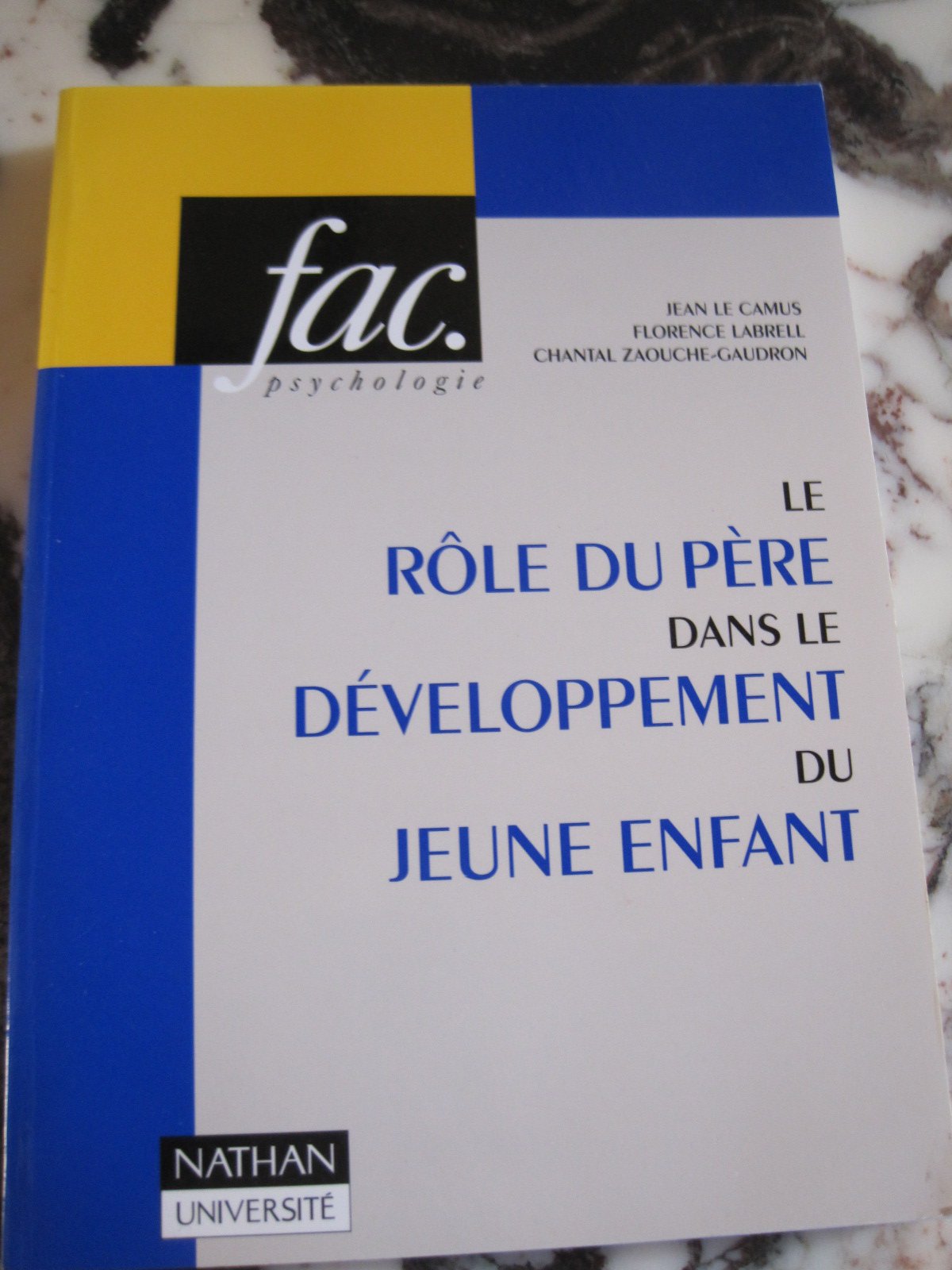 Le rôle du père dans le développement du jeune enfant book